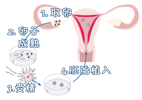 男科专家